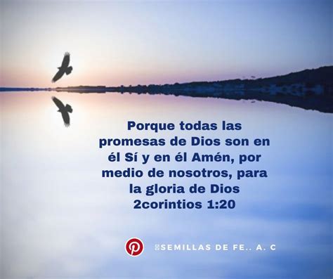 Una Promesa Para Cada Día De La Semana 📖 Promesas De Dios Promesa Palabra De Vida