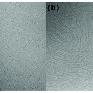 Cryo-TEM images of (a) α-C 16 G 2 10 mM in H 2 O (50 °C prior blotting ...