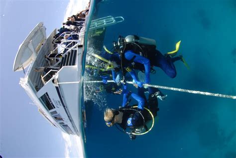 Poseidon Cruises Great Barrier Reef Tours