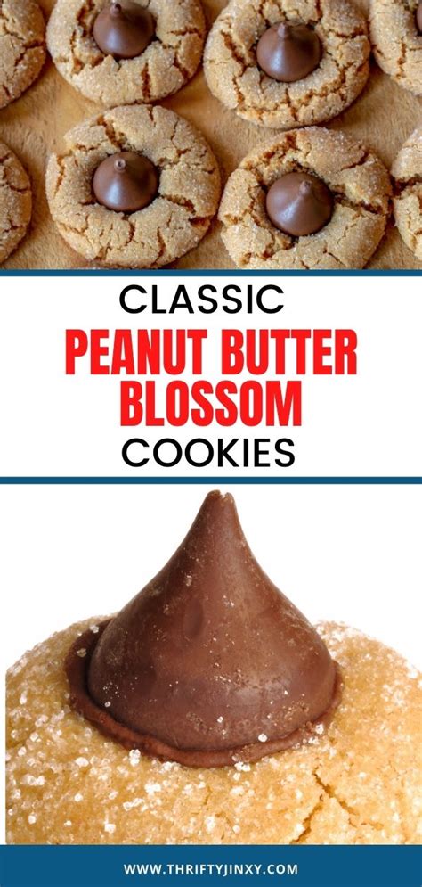 Peanut Butter Blossoms Cookie Recipe Hershey Kiss Classic Thrifty Jinxy