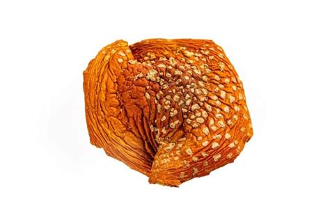 Orange Mushroom Identification: 11 Common Varieties