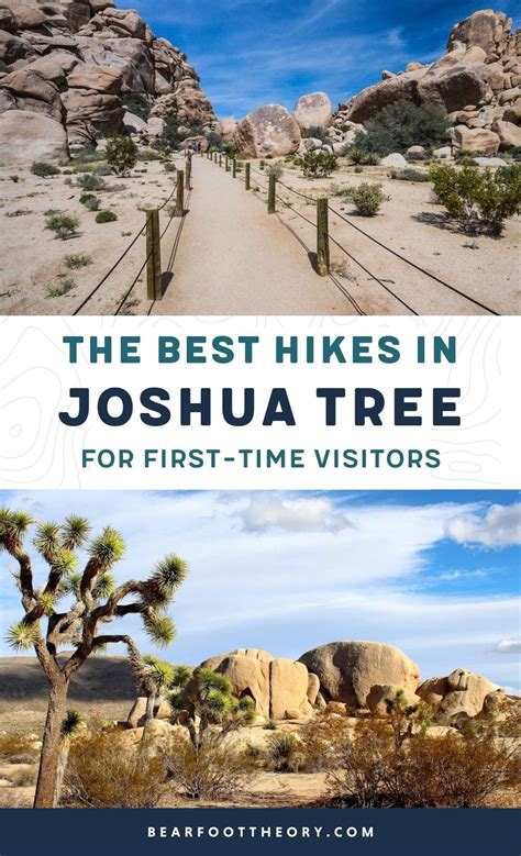 Best Joshua Tree Hikes For First Time Visitors