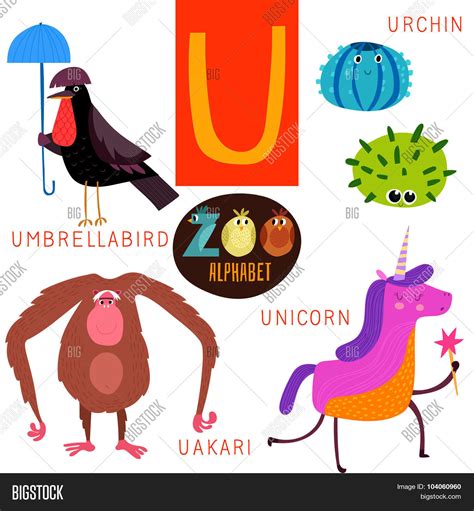 Cute Zoo Alphabet Vector & Photo (Free Trial) | Bigstock