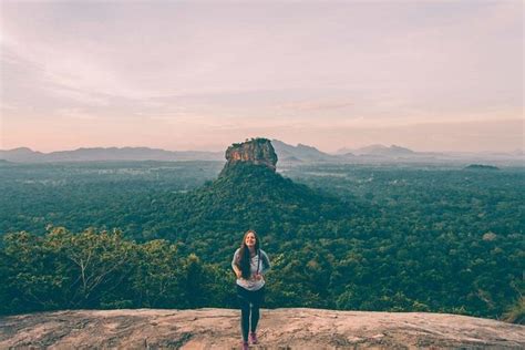 Tour To Sigiriya Pidurangala And Minneriya National Park Colombo