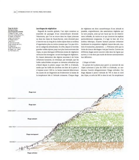 Les Mammif Res De L Arc Alpin Mammals Of The Alpine Arc Nhbs Field