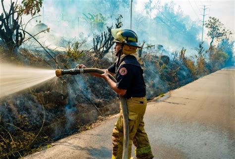 Intentan Sofocar Incendio En Cerro De San Juan Tepic Nayarit