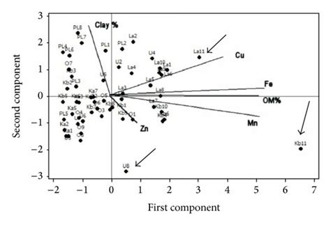 (a) PCA analysis of micronutrients availability (Zn²⁺, Cu²⁺, Fe²⁺, and ...
