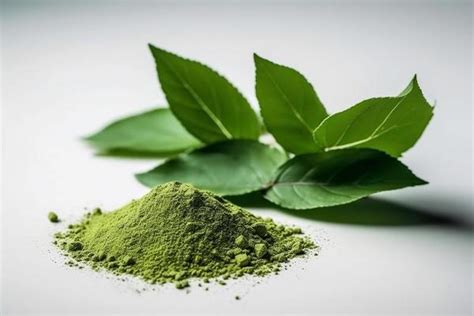 Matcha Leaves Stock Photos, Images and Backgrounds for Free Download