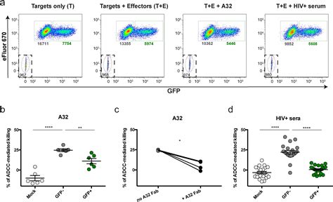 Small Cd4 Mimetics Prevent Hiv 1 Uninfected Bystander Cd4 T Cell