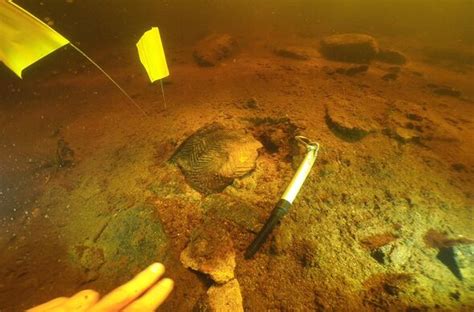 A stew-pendous find from ancient times: Neolithic culinary traditions ...