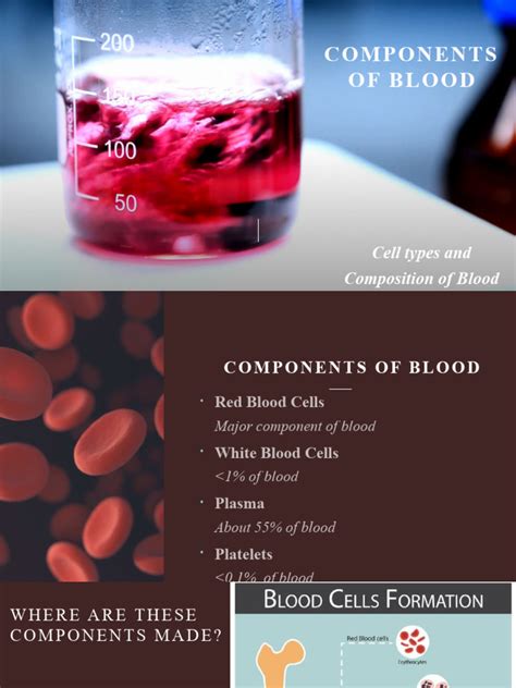 Components of Blood | PDF