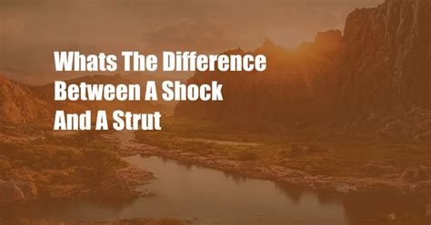 Whats The Difference Between A Shock And A Strut Cpazo