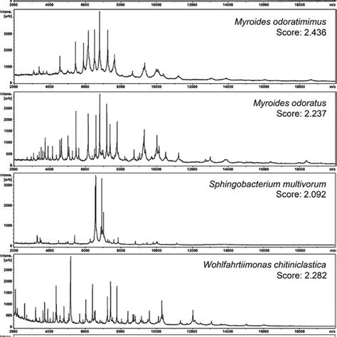 Analysis Procedure Using Maldi Tof Ms For Identification Of Clinically