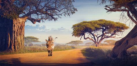 HAKUNA MATATA on Behance