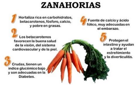 ¿cuáles Son Los Beneficios De Las Zanahorias Para La Salud Vía Orgánica