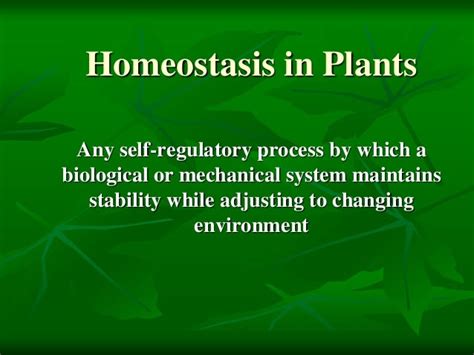 Homeostasis In Plants