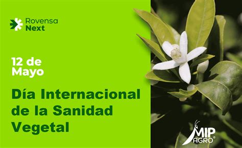 D A Internacional De La Sanidad Vegetal Mip Agro