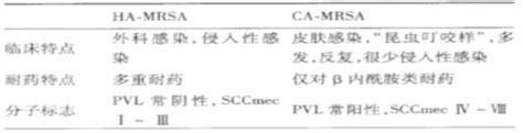 「惹不起」的金葡菌，如何诊治？看这篇文章就够了澎湃号·湃客澎湃新闻 The Paper