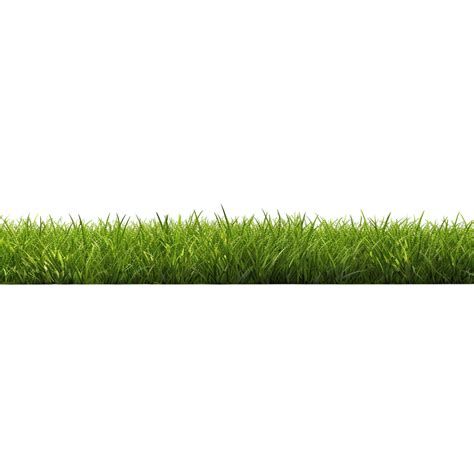 Ai Generated Green Grass Field Clip Art 40218705 Png