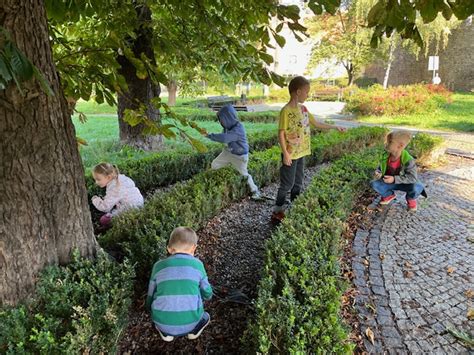 Lekcja Przyrody W Terenie Szko A Podstawowa Nr W Wiebodzicach