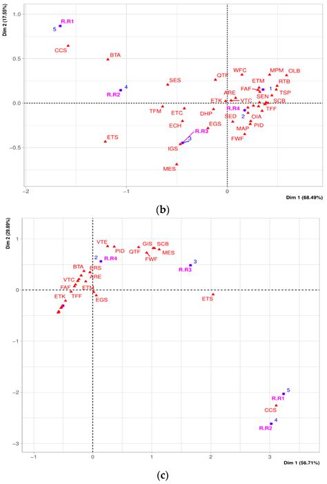 An Evaluation of the Importance of Smart Tourism Tools in the Riobamba
