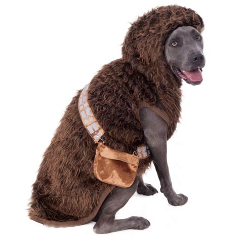 20+ Cute Halloween Costumes for Extra Large Dogs (up to 3XL!) - Hey ...