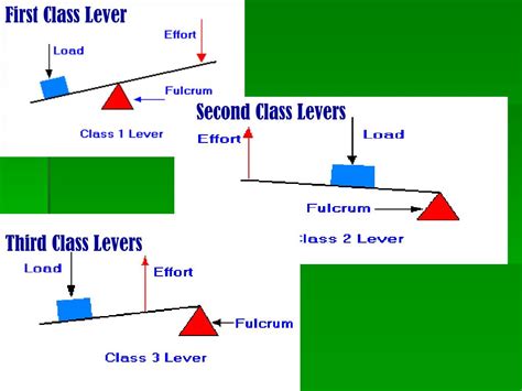 PPT - Third Class Levers PowerPoint Presentation, free download - ID:801921