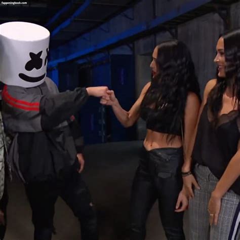 Brie Bella Nude The Fappening Photo FappeningBook