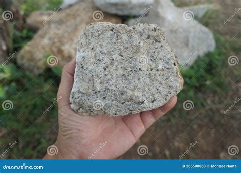 Sample Raw Specimen Of Granite Intrusive Igneous Rock Stone On