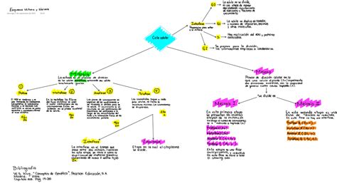 Mapa Conceptual De La Mitosis Demi Mapa Kulturaupice Porn Sex Picture