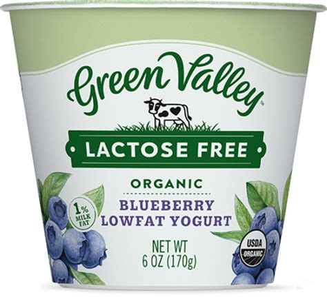 Lactose-Free Organic Strawberry Yogurt 6oz | Green Valley Lactose Free