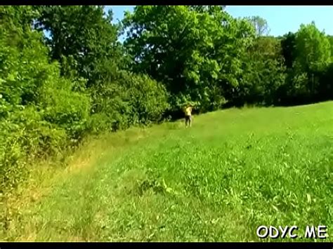 Gorda Con Tetas Gigantes Es Follada Duro En Muchas Poses XVIDEOS