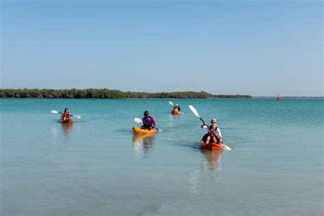 1,000+ Kayaking Mangrove Photos Stock Photos, Pictures & Royalty-Free ...