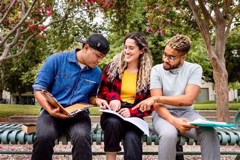 Download Free Image Of Students Studying Together Outdoors At The