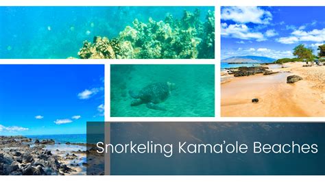 Snorkeling Kama Ole Beaches Boss Frog S Hawaii