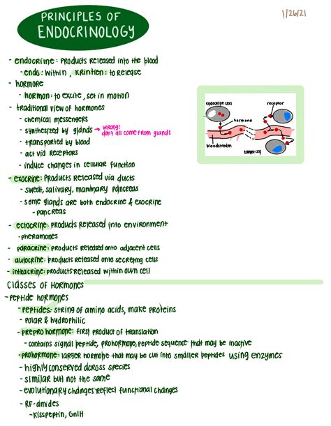 SOLUTION Principles Of Endocrinology Notes Studypool