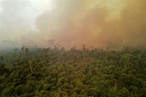 Reportan unos 26 incendios forestales y crece la presión para declarar