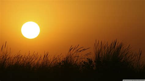 Wallpaper Sunlight Sunset Nature Grass Sky Plants Sunrise