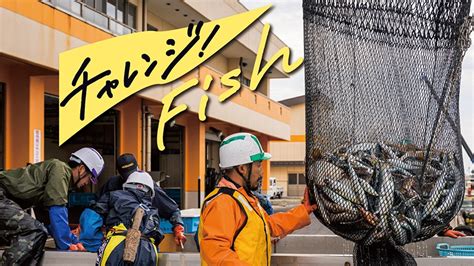 未利用魚や低利用魚と呼ばれる魚を漁ったその日に2〜4種類をセットで届ける「チャレンジフィッシュボックス」 Tabi Labo