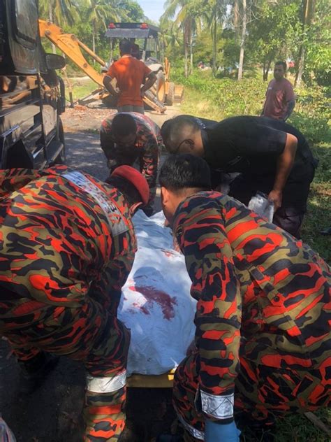 Lelaki Maut Dihempap Pokok Semasa Menunggang Motorsikal Utusan Borneo