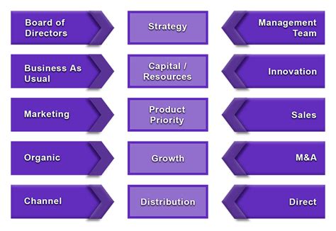 Alignment - The Magis Group
