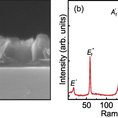 SEM Image Of The Cross Section A And Unpolarized Raman Spectrum B