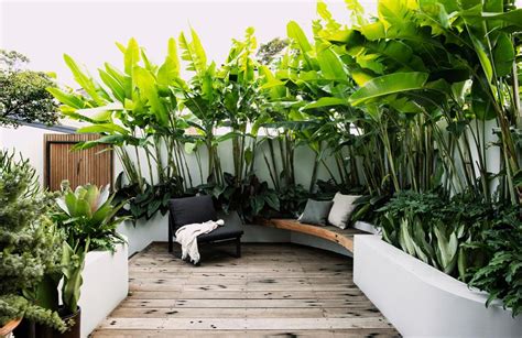 A Small Tropical Garden With Low Maintenance Plants Courtyard Gardens Design Small Tropical