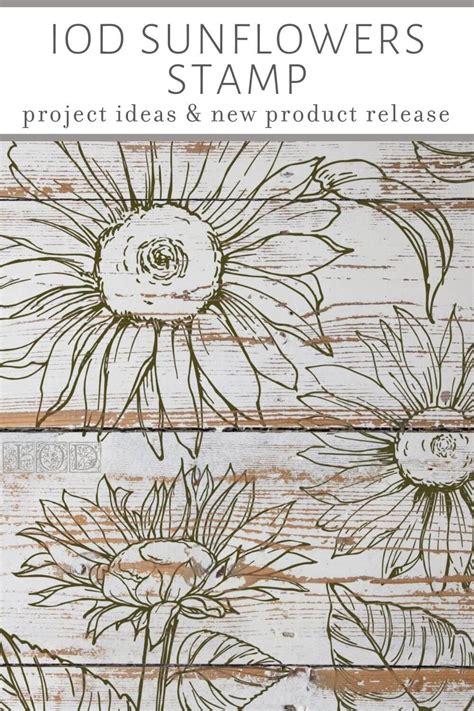 IOD Sunflowers Stamp June 2021 Iron Orchid Designs New Product Releas