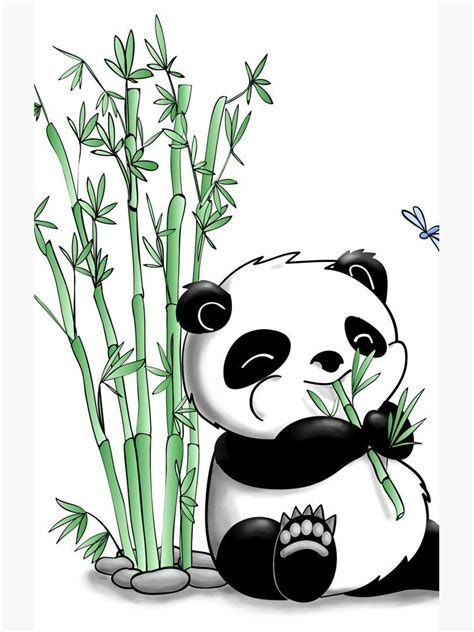 Panda Eating Bamboo