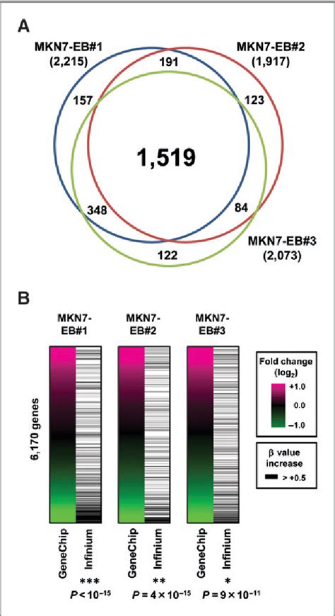 Figure From Classification Of Epstein Barr Virus Positive Gastric