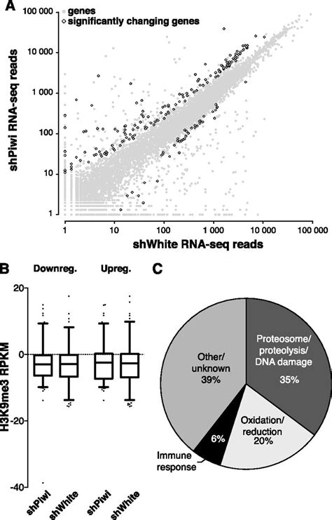 Piwi Induces Pirna Guided Transcriptional Silencing And Establishment