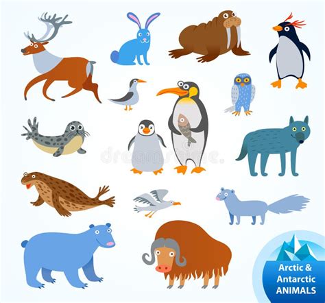 Antarctic Animals Vs Arctic Animals Clipart