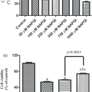 NAPQI Induced Cytotoxicity In HepaRG Cells A Doseresponse For