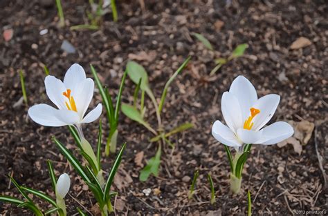 Щербинка — Подмосковье выходного дня
